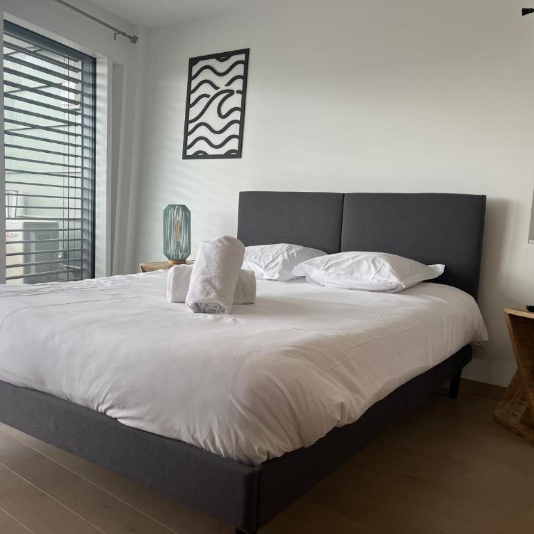 ENTRE NOUS CITY - Apartamento de 2 dormitorios - 18