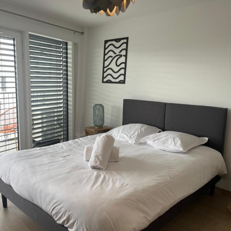 ENTRE NOUS CITY - Apartamento de 2 dormitorios - 19
