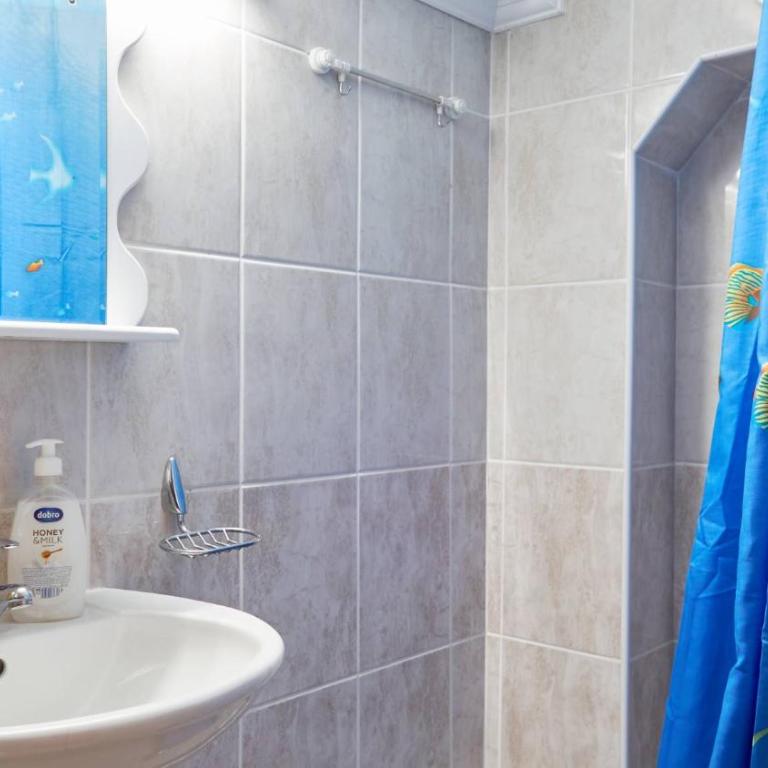 Janković Apartmani u centru - Apartman sa 1 Spavaćom Sobom - 3