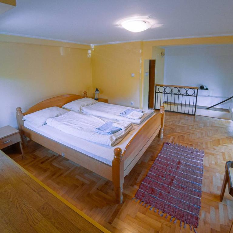 Janković Apartmani u centru - Apartman sa 1 Spavaćom Sobom - 9