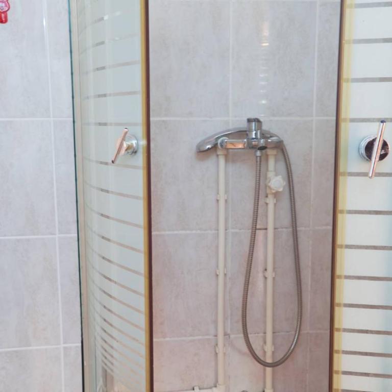 Janković Apartmani u centru - Apartman sa 1 Spavaćom Sobom - 13