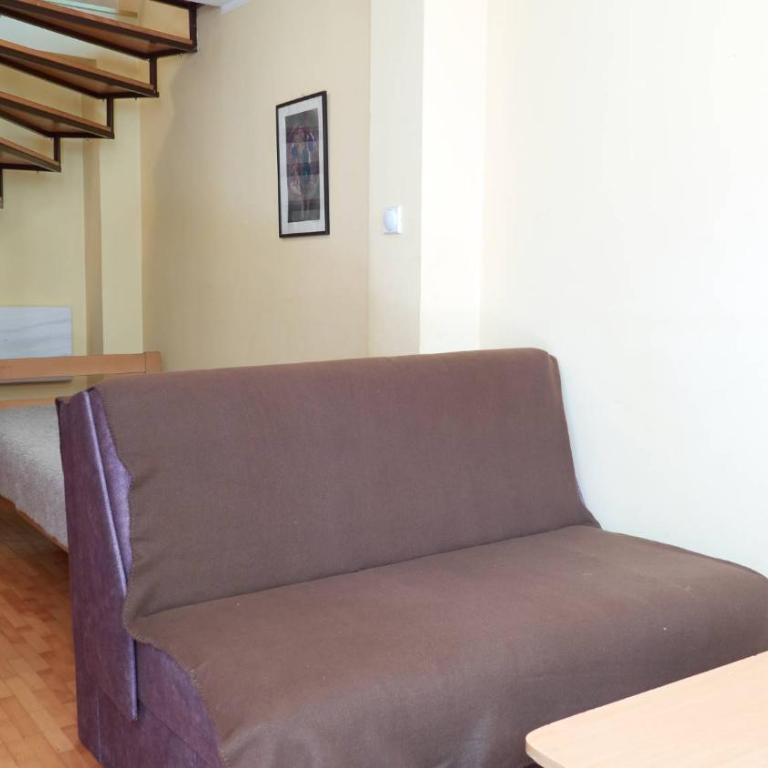 Janković Apartmani u centru - Apartman sa 1 Spavaćom Sobom - 16