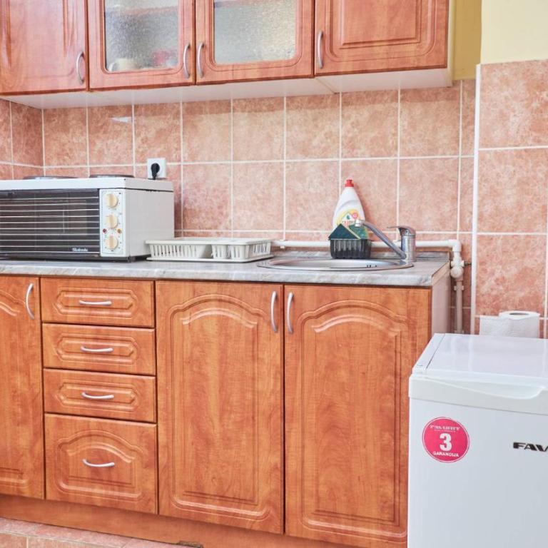 Janković Apartmani u centru - Apartman sa 1 Spavaćom Sobom - 17