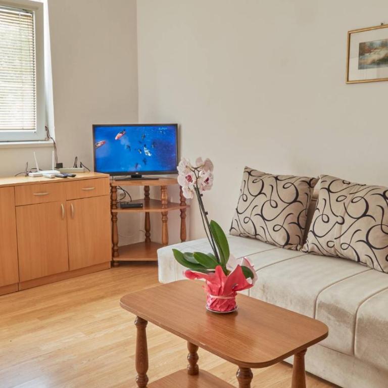Janković Apartmani u centru - Apartman sa 1 Spavaćom Sobom - 15