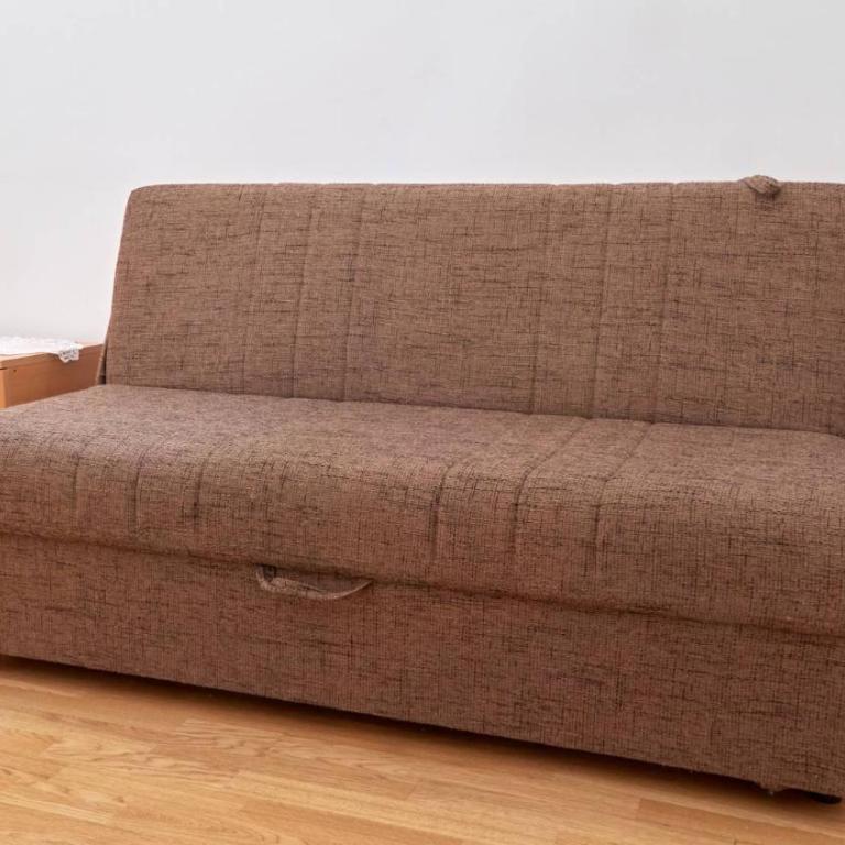 Janković Apartmani u centru - Apartman sa 1 Spavaćom Sobom - 14
