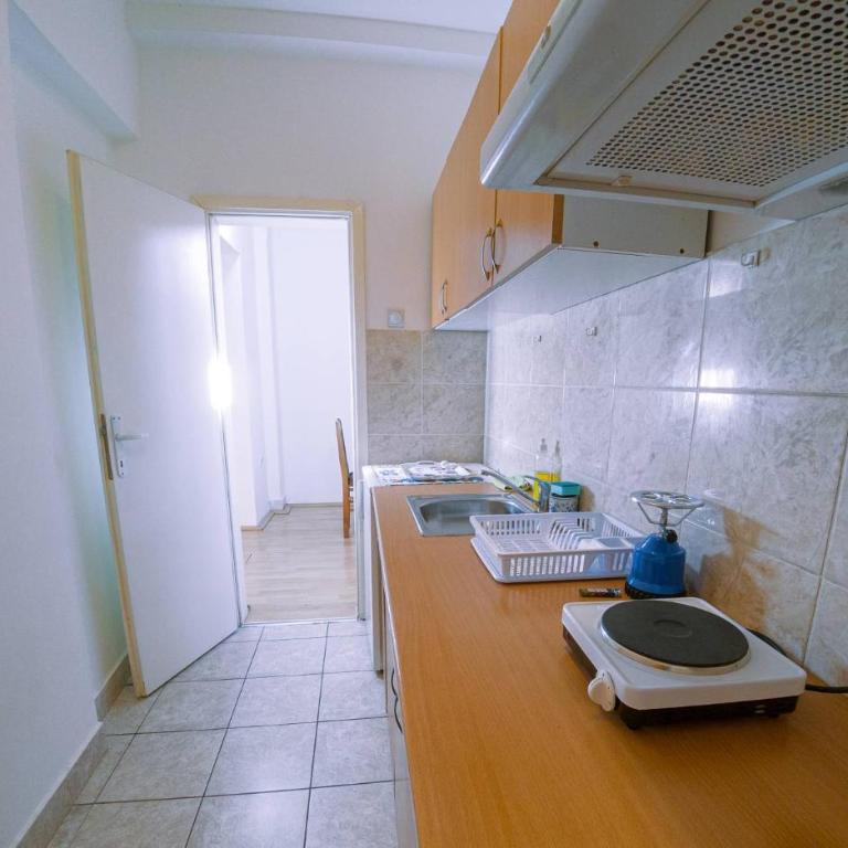 Janković Apartmani u centru - Apartman sa 1 Spavaćom Sobom - 9