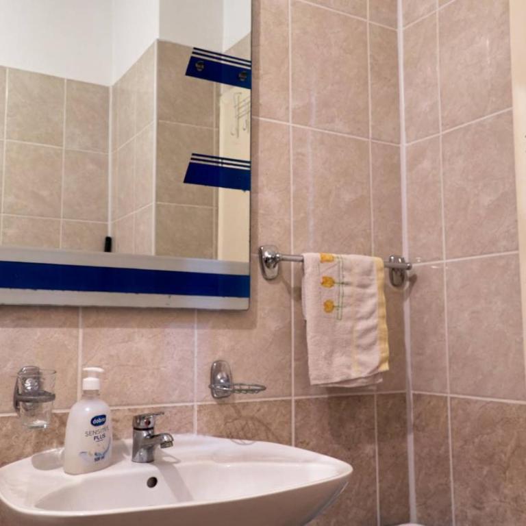 Janković Apartmani u centru - Apartman sa 1 Spavaćom Sobom - 5