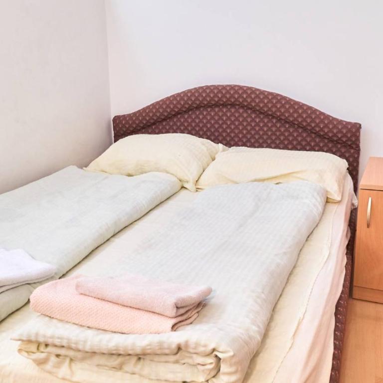 Janković Apartmani u centru - Apartman sa 2 Spavaće Sobe - 9