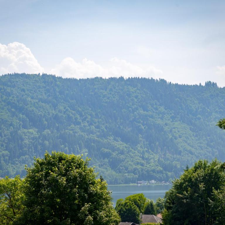 MOOKI Lake Apartment Ossiacher See&Gerlitzen - Apartment mit Terrasse - 40
