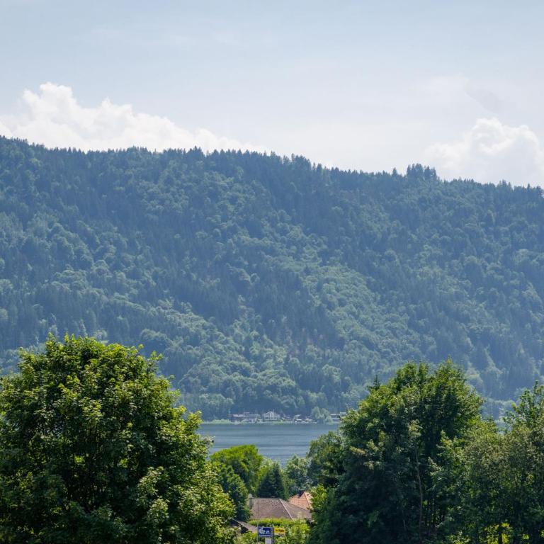 MOOKI Lake Apartment Ossiacher See&Gerlitzen - Apartment mit Terrasse - 43