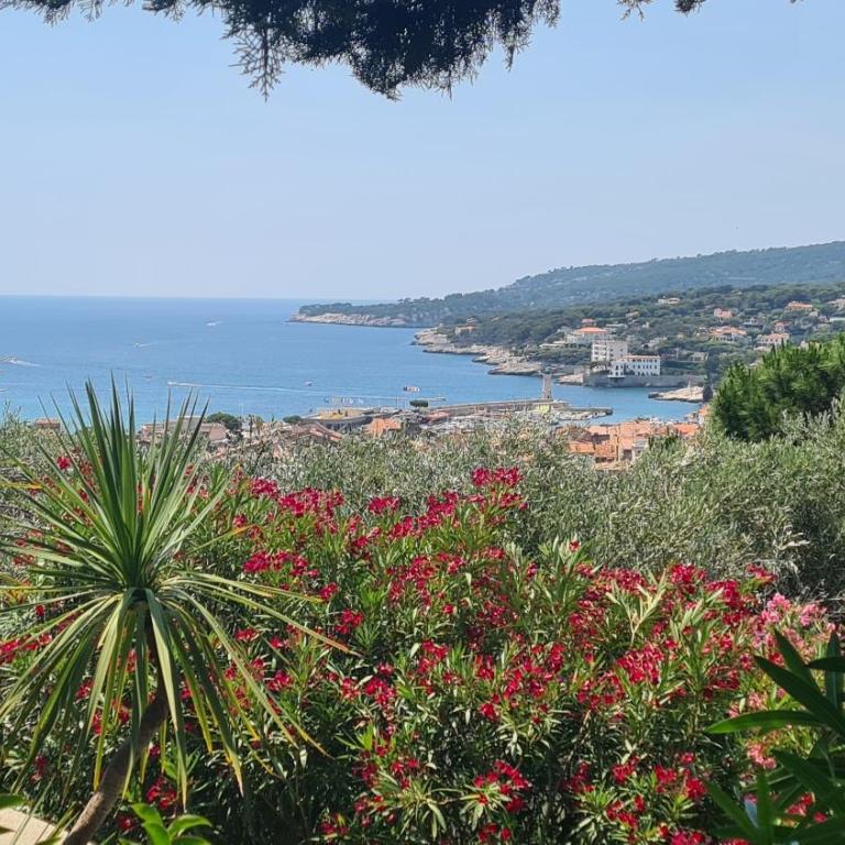 HPC Suites - Cassis Centre - Parking Securisé et Piscine Chauffée - Suite Deluxe - 1