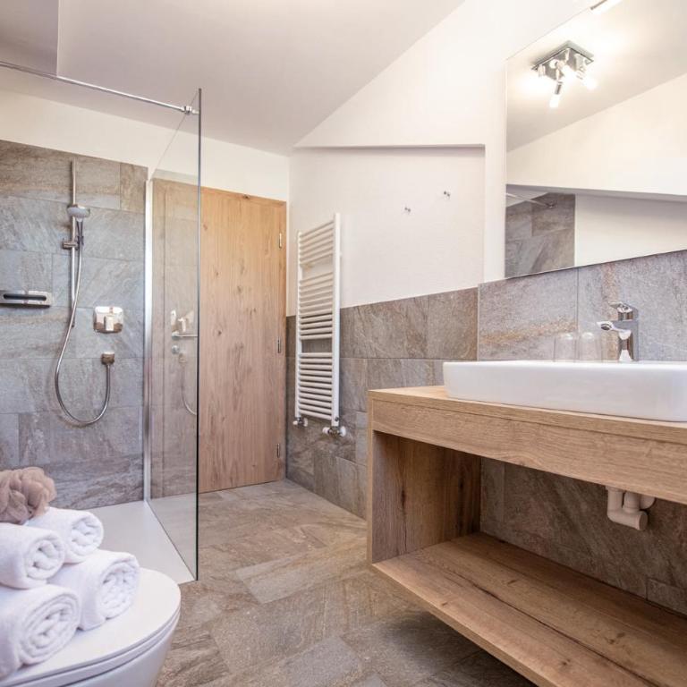 MOUNTAIN RESIDENCE ALPENHOF - company Hotel Alpenhof KG sas der Gasser Renate - Appartamento Monolocale - 4