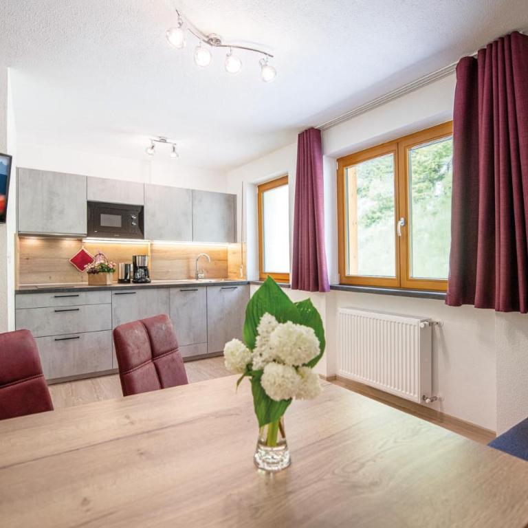 MOUNTAIN RESIDENCE ALPENHOF - company Hotel Alpenhof KG sas der Gasser Renate - Appartamento Standard - 6
