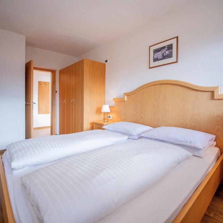 MOUNTAIN RESIDENCE ALPENHOF - company Hotel Alpenhof KG sas der Gasser Renate - Appartamento con Terrazza - 6