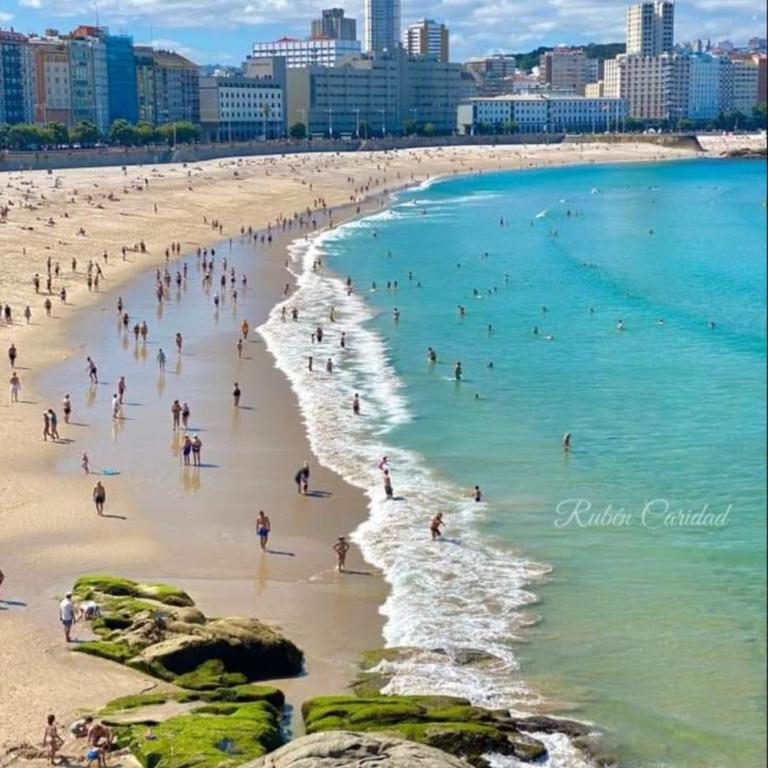 Apartamento en A Coruña - Apartamento - 14