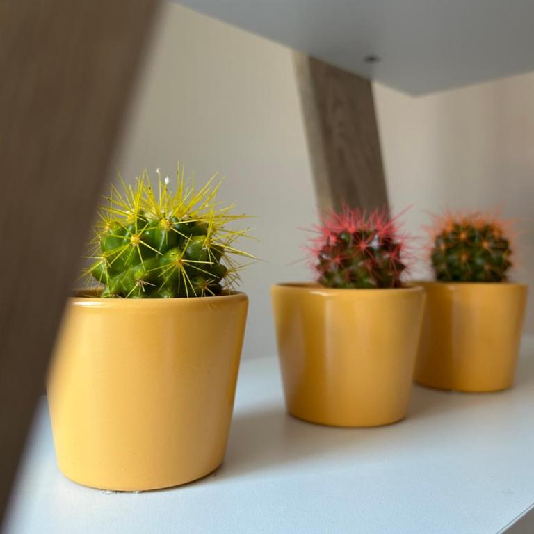 Apartman Teodora - One-Bedroom Apartment - 32