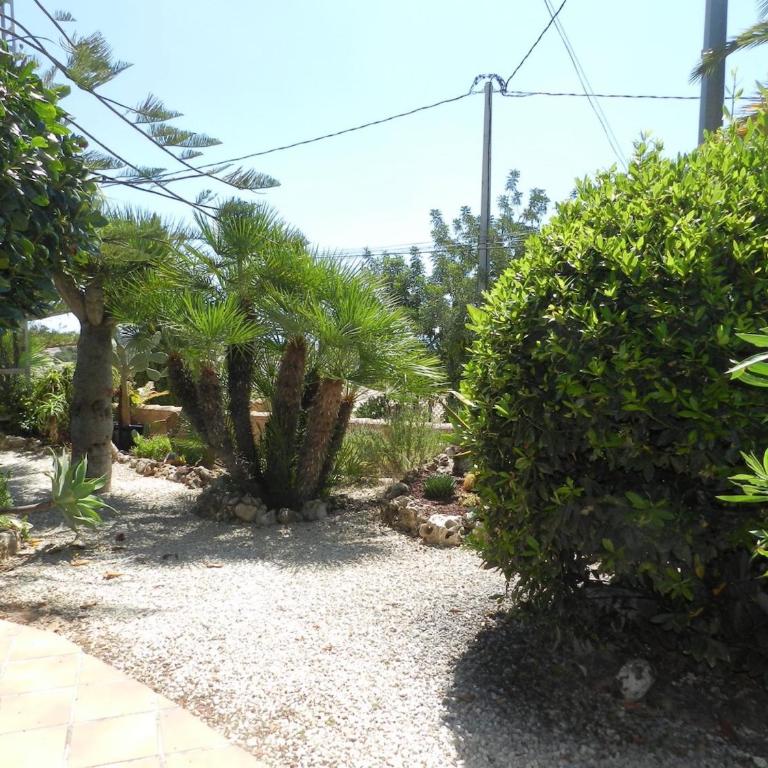 Villa Ambiente para 8 personas - Villa con piscina privada - 50