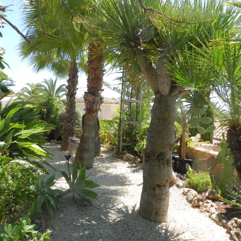 Villa Ambiente para 8 personas - Villa con piscina privada - 53