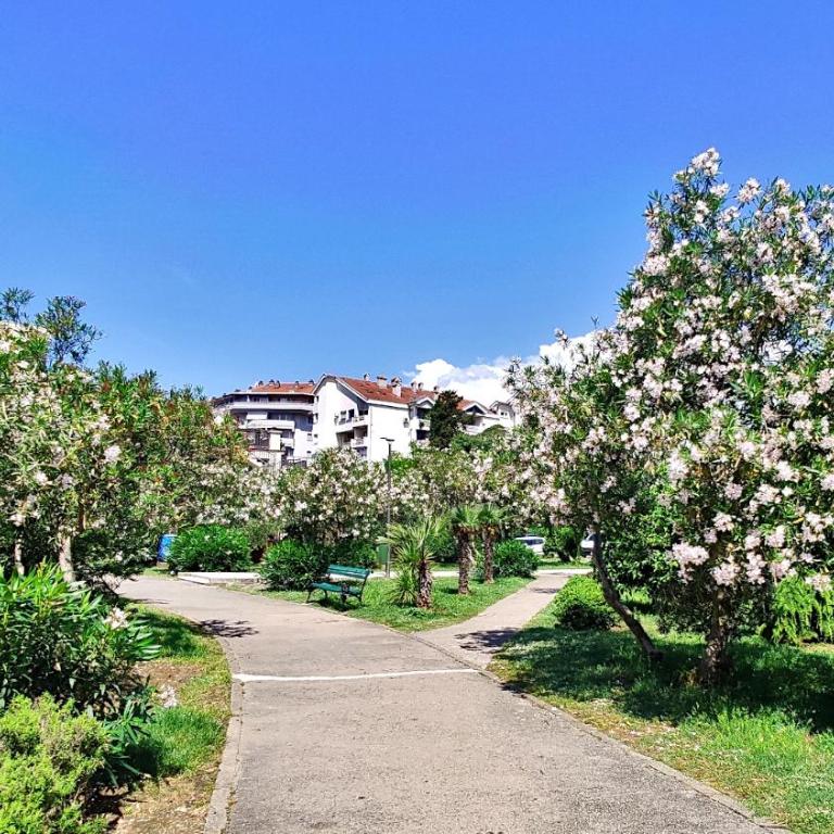 Tivat Center SeaView Apartment - Apartment with Sea View - 8
