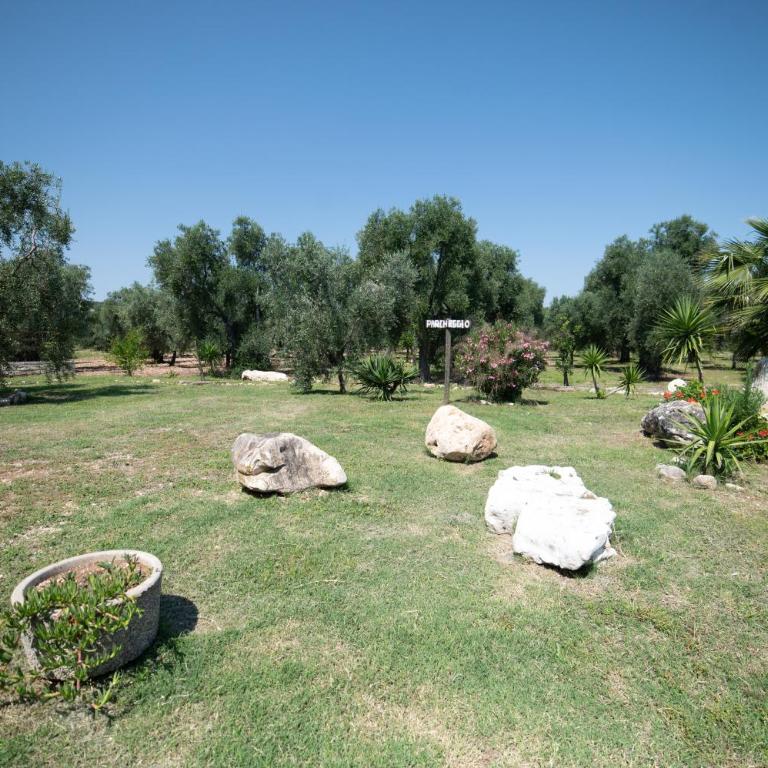 Coppola Rossa Relax - Camera King con Vista Giardino - 13