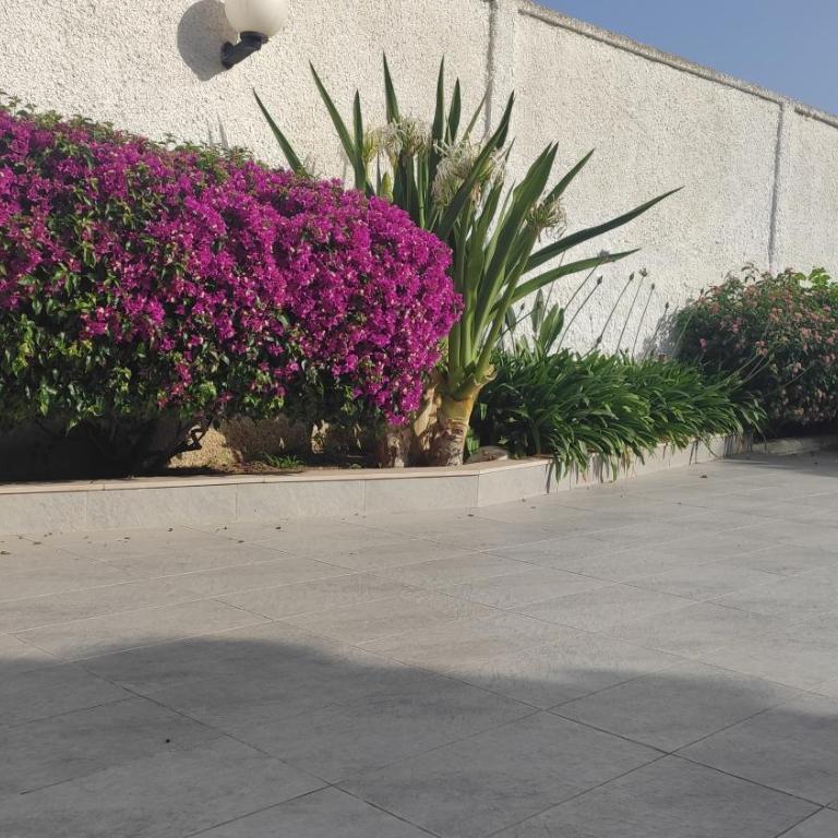 Seagull Apartments Bari Sea & Airport - Monolocale Familiare - 42