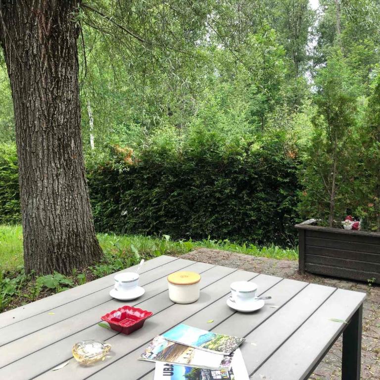 Charmant chalet rénové avec jardin à Barcelonnette - Three-Bedroom Chalet - 11