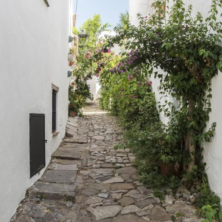 Tranquilo y cómodo apartamento en Vejer de la Frontera - Apartamento de 2 dormitorios - 10