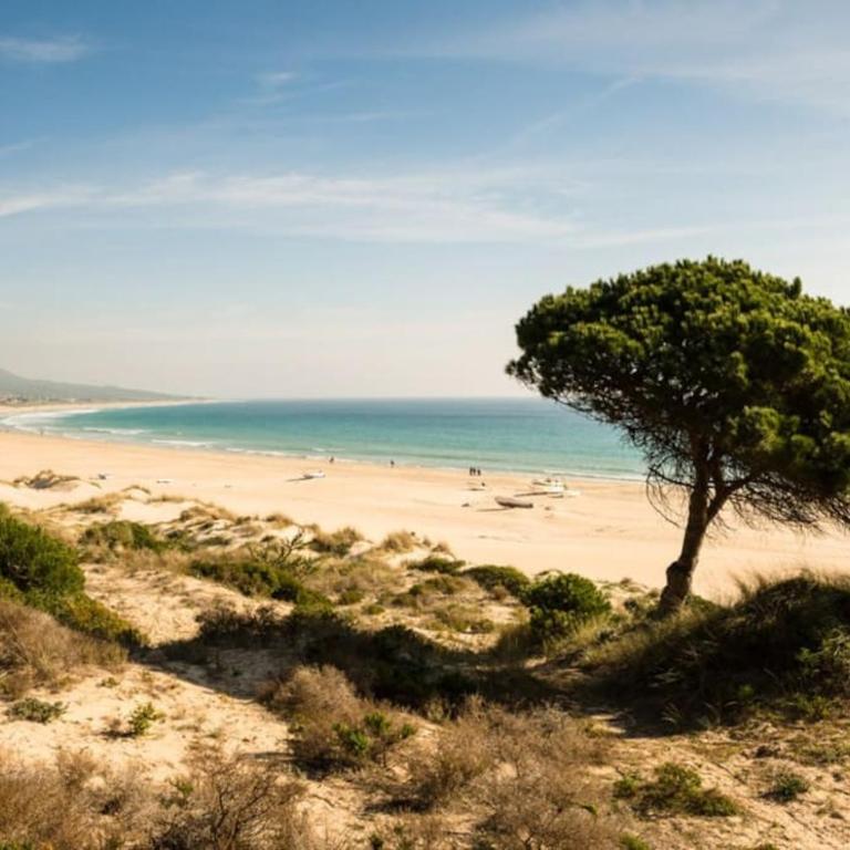 Tranquilo y cómodo apartamento en Vejer de la Frontera - Apartamento de 2 dormitorios - 12