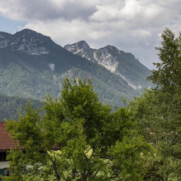 Hubertus Appartements Inzell - Apartment mit 2 Schlafzimmern - 14