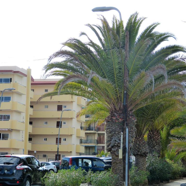 Suncanarias Apartamento Los Angeles - Apartamento de 1 dormitorio - 40