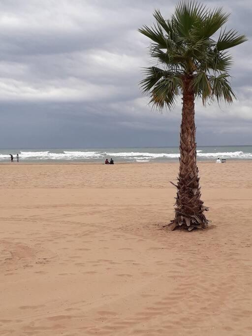 Valras Plage - Appartement - 4 pers - piscine - Apartment mit 2 Schlafzimmern - 6