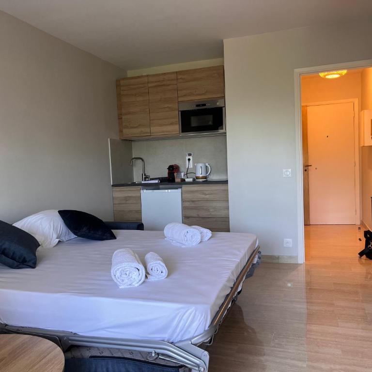 La douceur de vivre à Cannes - Appartement 1 Chambre - 8