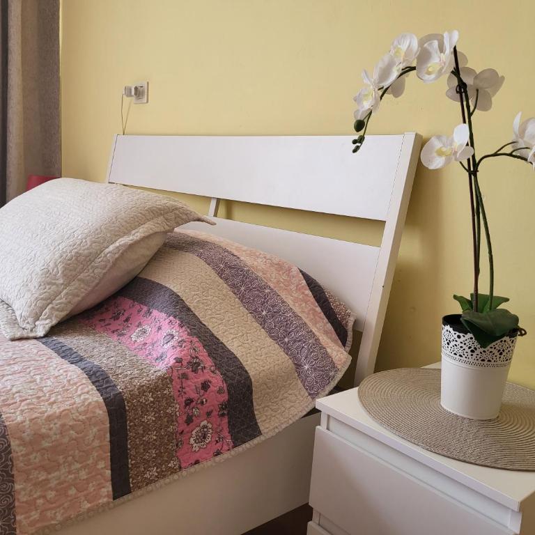 Studio with garden - Apartamento Estudio - 3