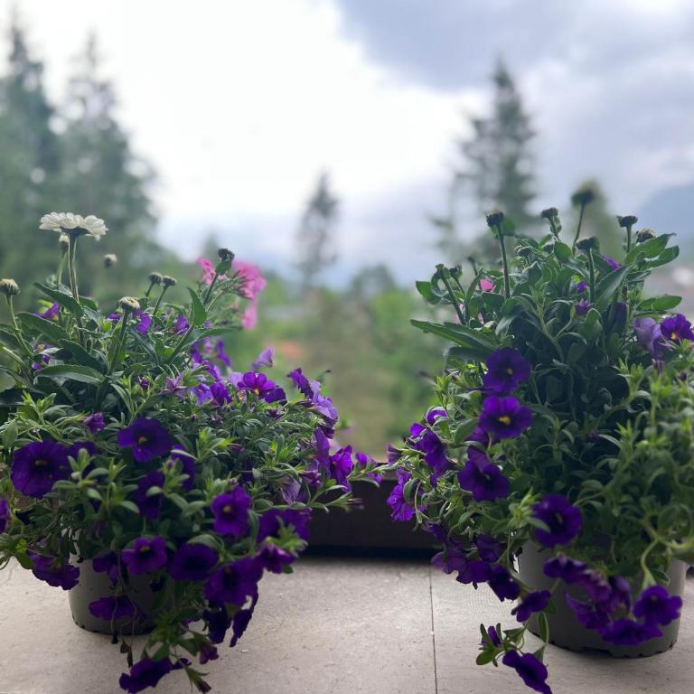 Wolfgangsee Ferienappartement „Almliebe“ - One-Bedroom Apartment - 9