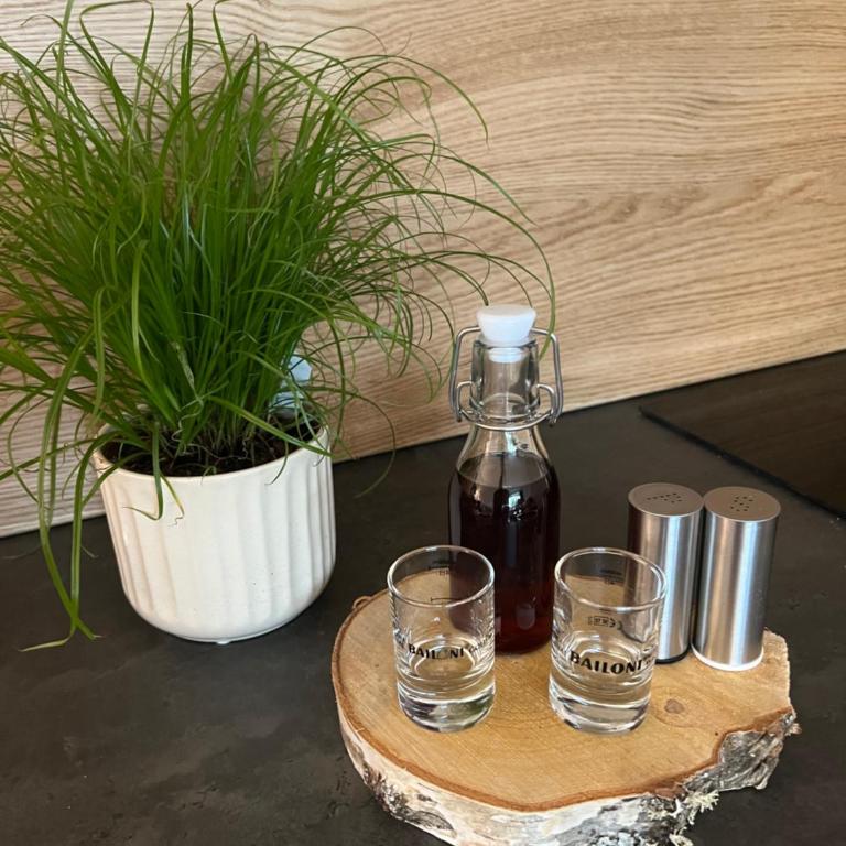 Wolfgangsee Ferienappartement „Almliebe“ - One-Bedroom Apartment - 11