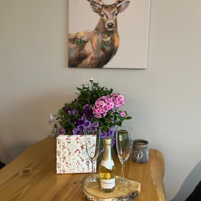 Wolfgangsee Ferienappartement „Almliebe“ - One-Bedroom Apartment - 18