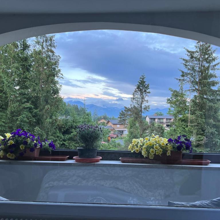 Wolfgangsee Ferienappartement „Almliebe“ - One-Bedroom Apartment - 4
