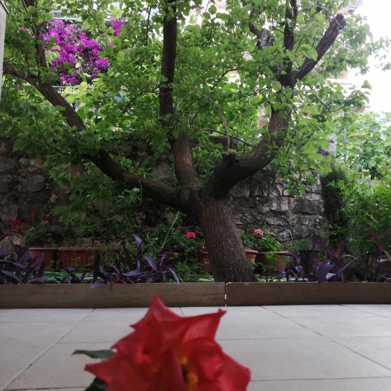 Apartments Kuc - Studio (4 Odrasle Osobe) - 4