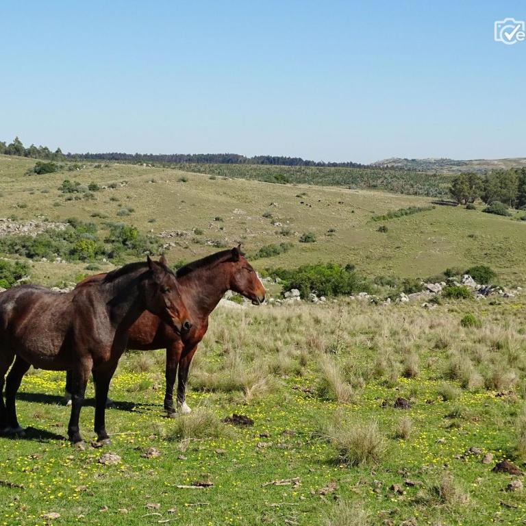 Casa de campo la serena - Two-Bedroom Chalet - 38