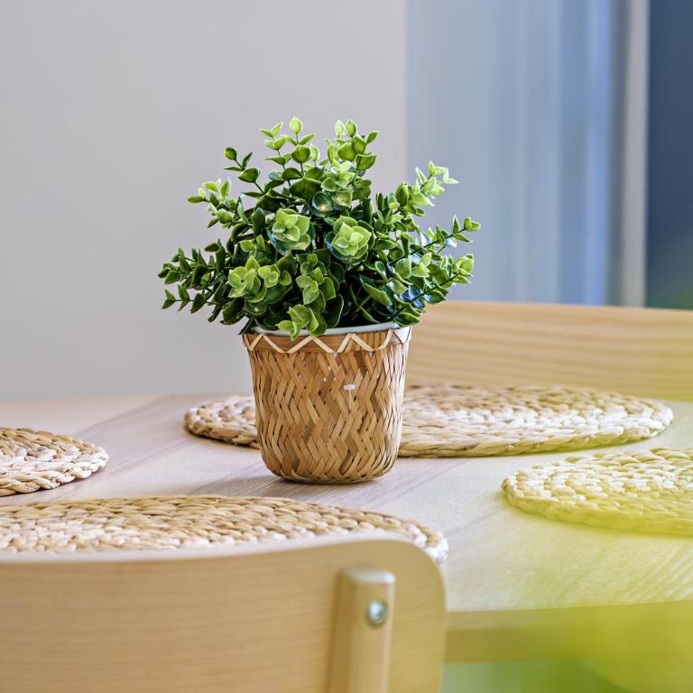 ENJOY MALAGA - City Center Apartment - Apartamento de 1 dormitorio - 20