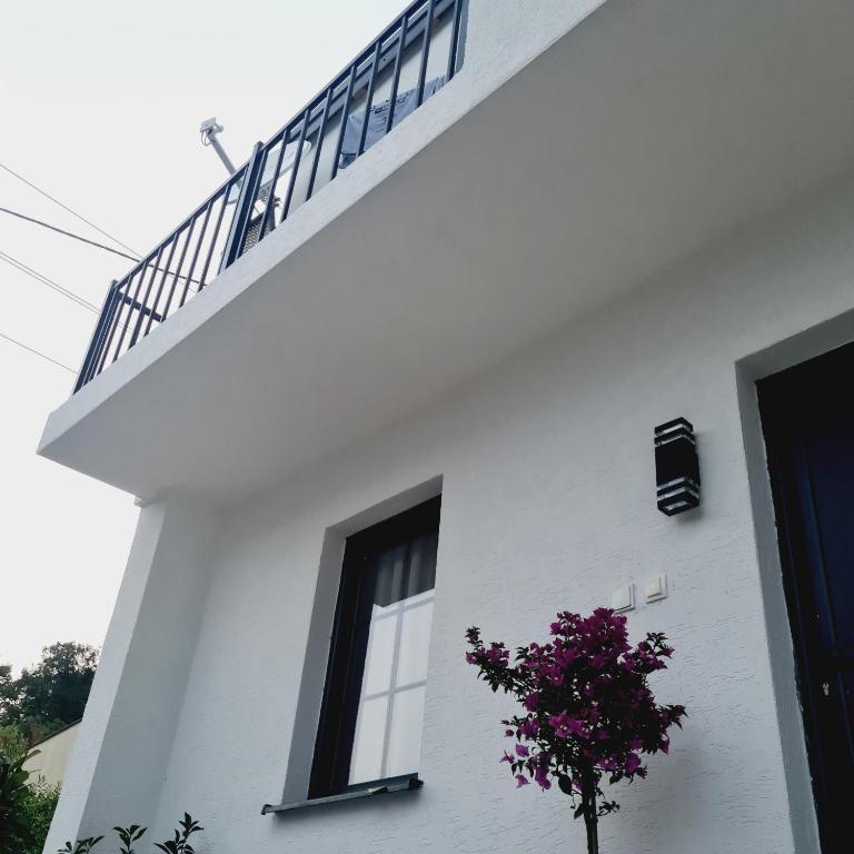 Once Upon a Time in Montenegro - Vila - 46