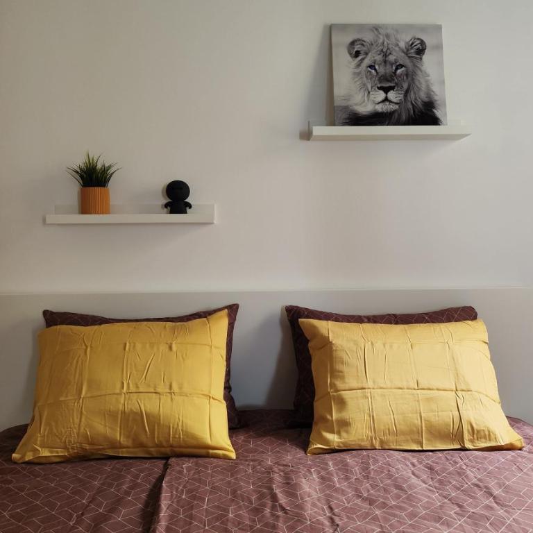 Las Brisas Apartment, Puerto del Rosario - Apartamento con terraza - 6