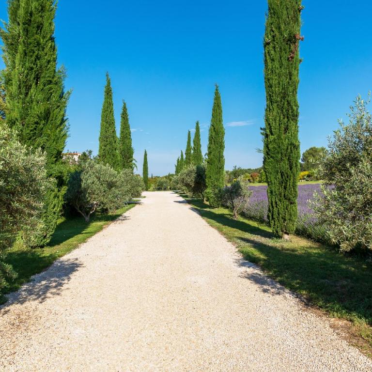 La Bastide de Damien, 5 clefs Demeure d'Exception et Table Remarquable dans le guide Teritoria, JACUZZI Privatif, Cuisine étoilée Dominique Frérard - Chambre Lit King-Size avec Baignoire Spa - 14