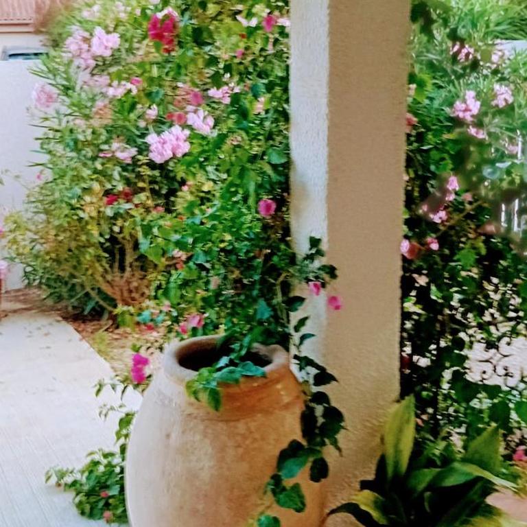 Villa Hélios - Villa 3 Chambres - 6