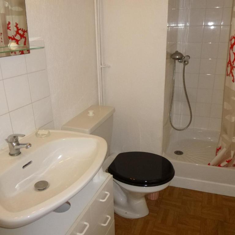 Studio à 50m de la plage, 3 couchages, parking gratuit, animaux acceptés - FR-1-224C-73 - Apartment (3 Adults) - 10
