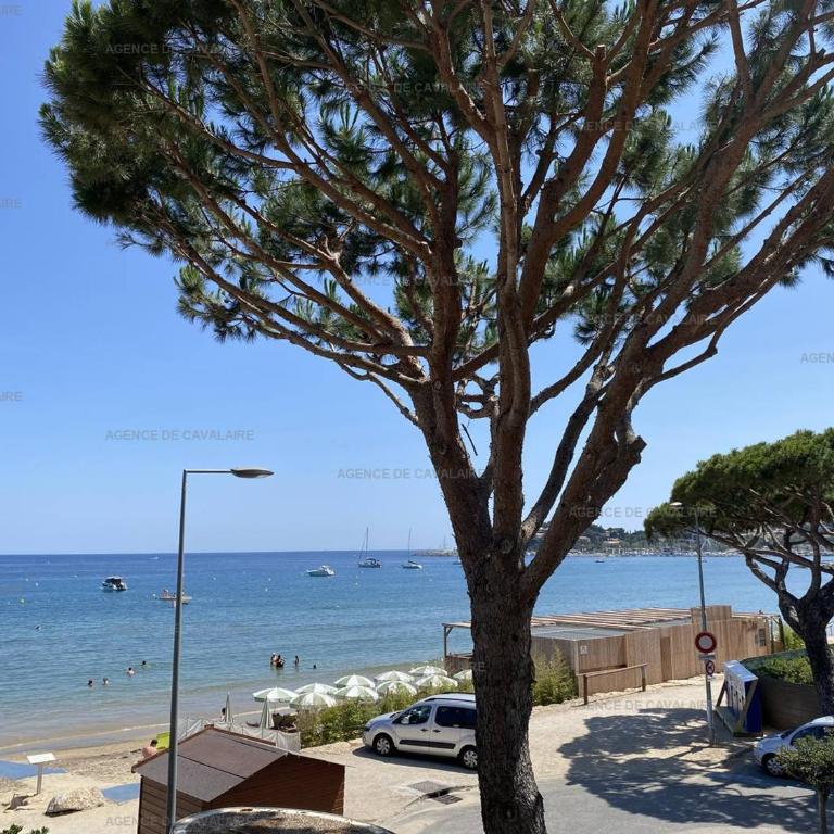 Appartement rénové en front de mer avec terrasse. - FR-1-100-295 - Apartment - 15