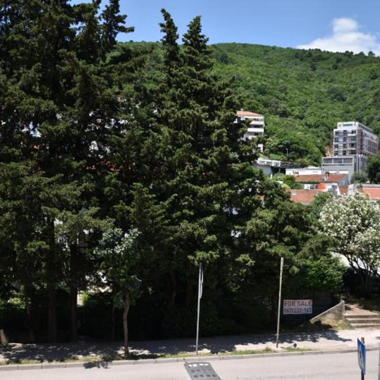 Apartment Dimitrije - Apartman sa Balkonom - 18