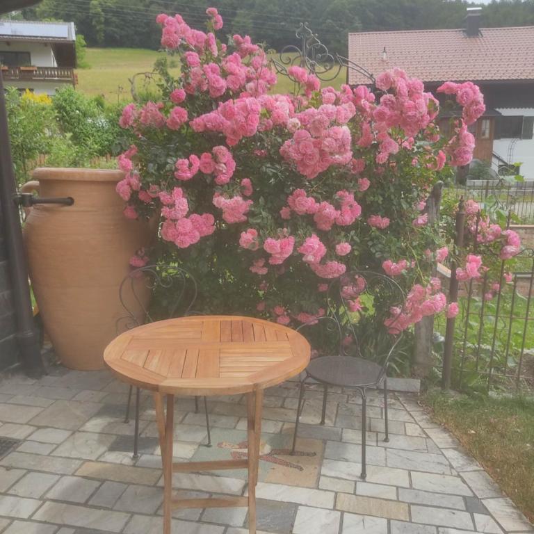 Speckhaus Ferienwohnungen - Apartment mit Terrasse - 5