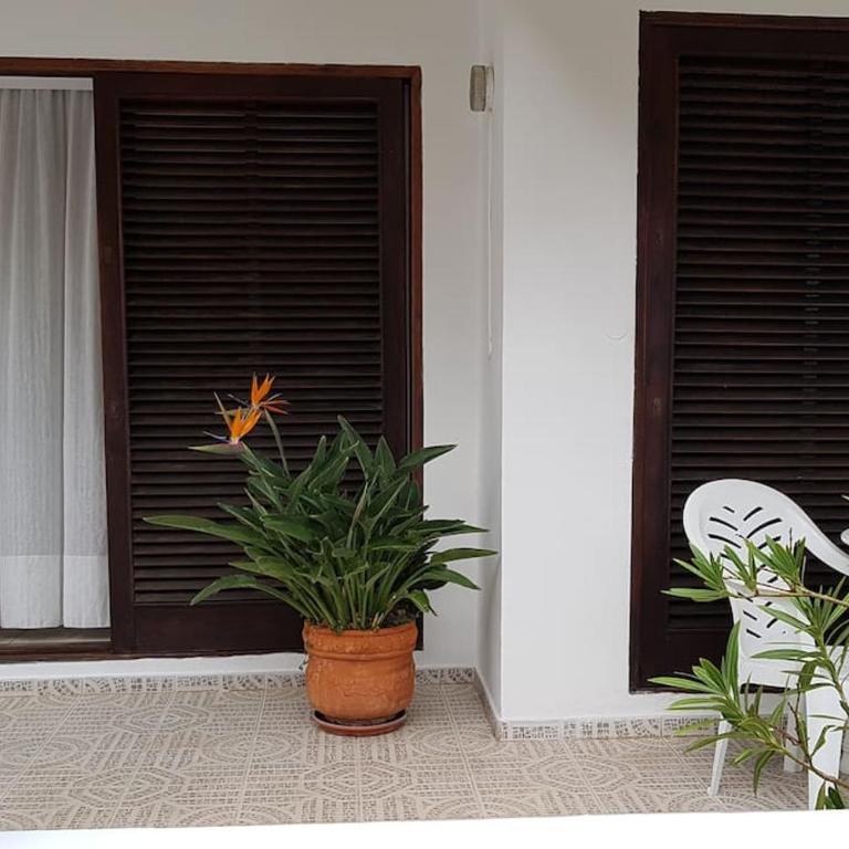 Apartamento Luminoso con Patio y Jardín - Apartamento de 1 dormitorio - 2