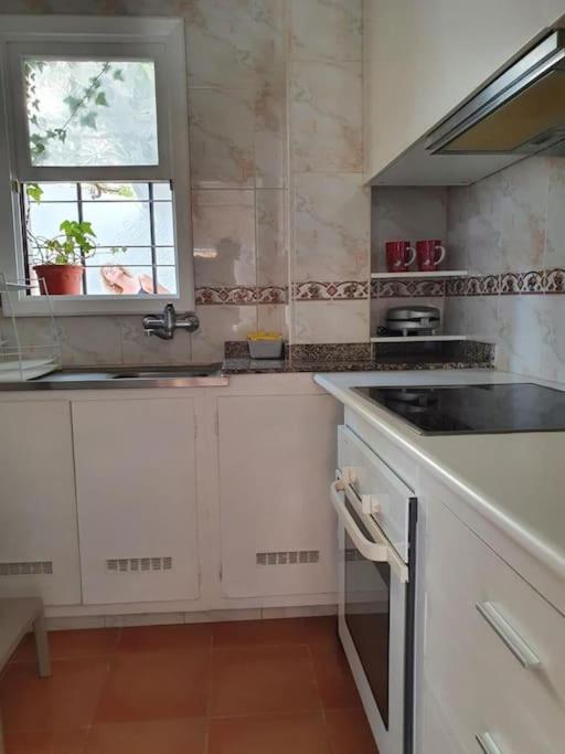 Apartamento Luminoso con Patio y Jardín - Apartamento de 1 dormitorio - 5